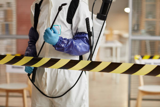 Professional Sewage Cleanup technician working in Westport, IN